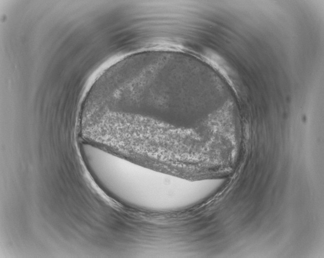 X0000085321379200704092338