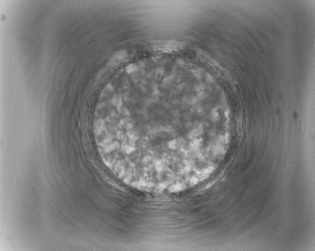 X0000085321393200704092337