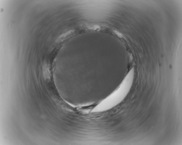 X0000085321394200704092337