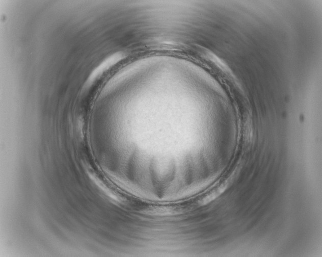 X0000085321402200704092337