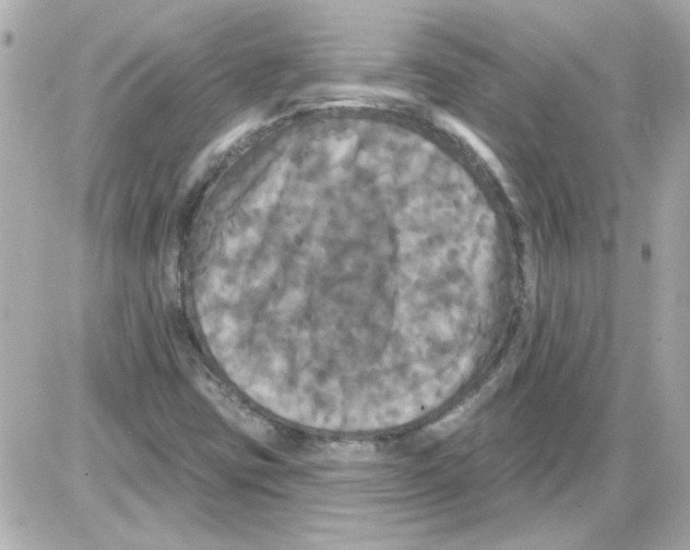X0000085321403200704092337