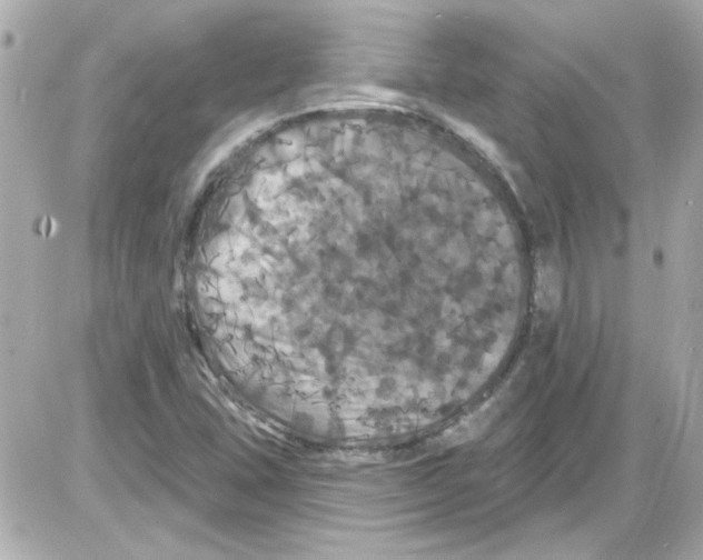 X0000085321407200704092337