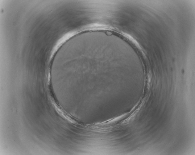 X0000085321413200704092337