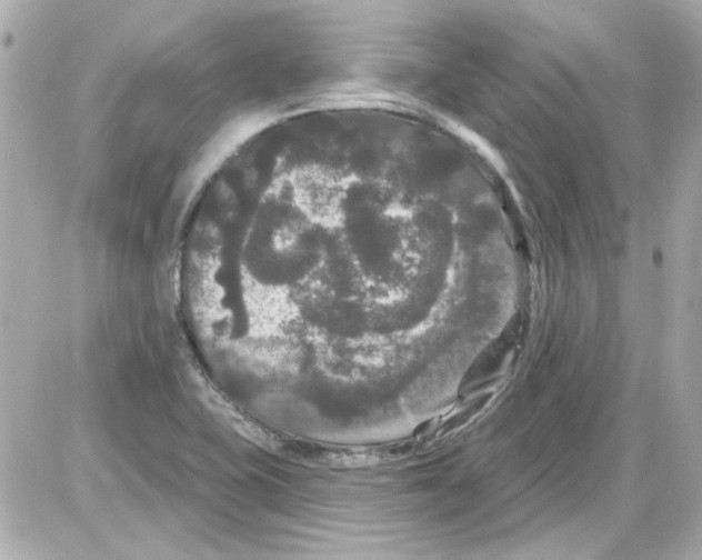 X0000085321415200704092337
