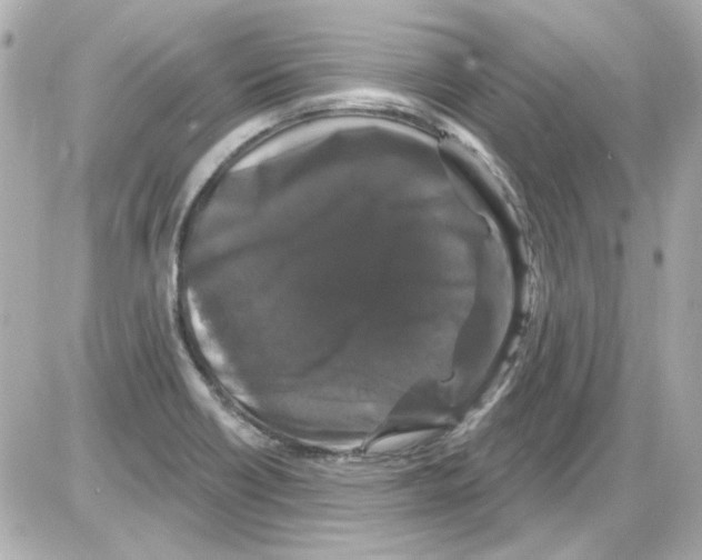 X0000085321418200704092337