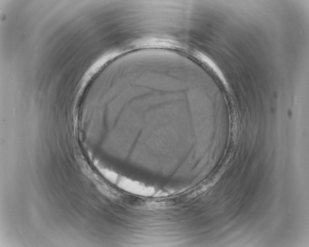 X0000085321419200704092337