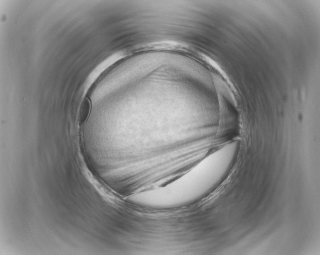 X0000085321426200704092337