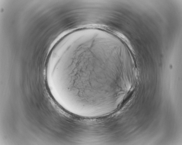 X0000085321428200704092337