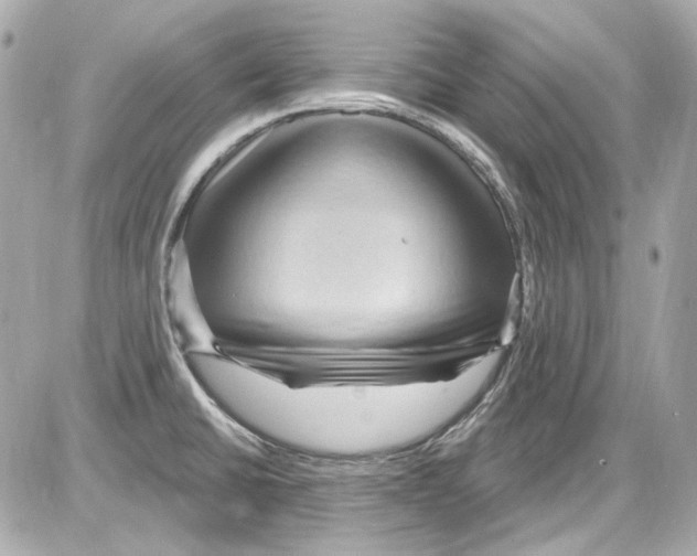 X0000085321430200704092337