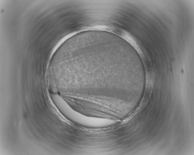 X0000085321436200704092337