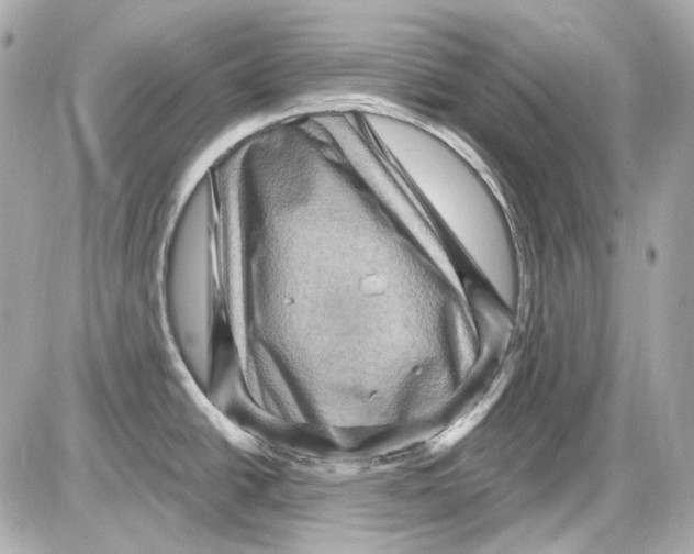 X0000085321438200704092337