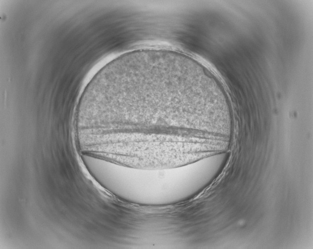 X0000085321440200704092337