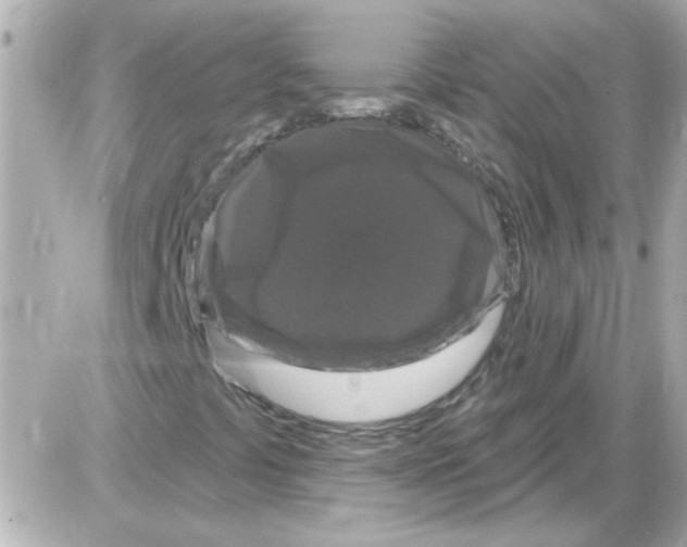 X0000085321441200704092337