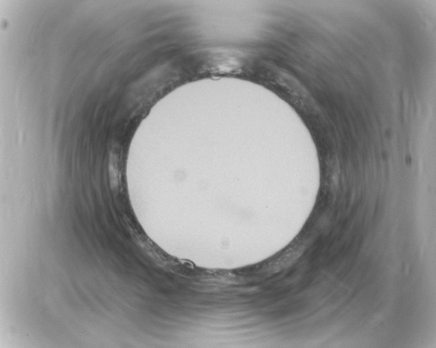 X0000085321442200704092337