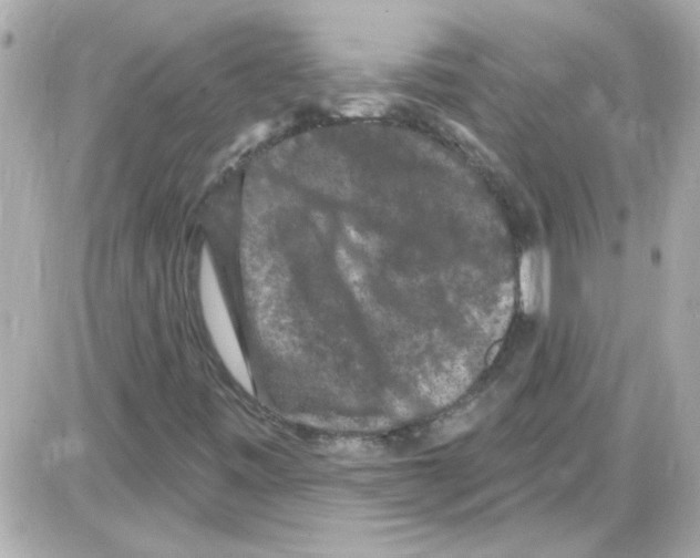 X0000085321443200704092337