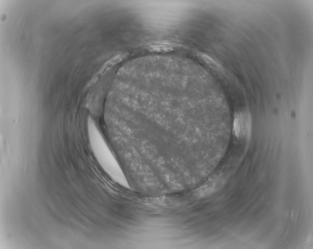 X0000085321444200704092336