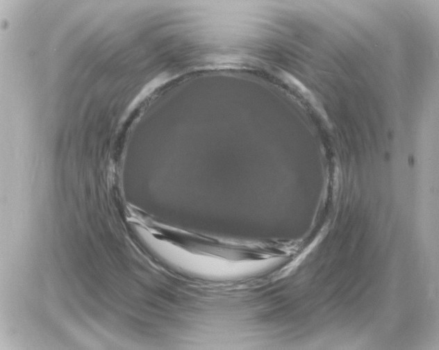 X0000085321449200704092336