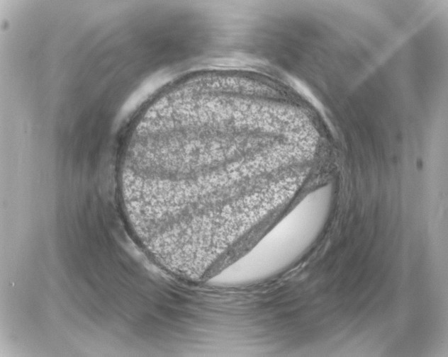 X0000085321456200704092336