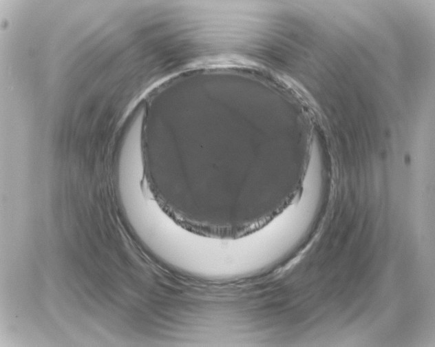 X0000085321457200704092336