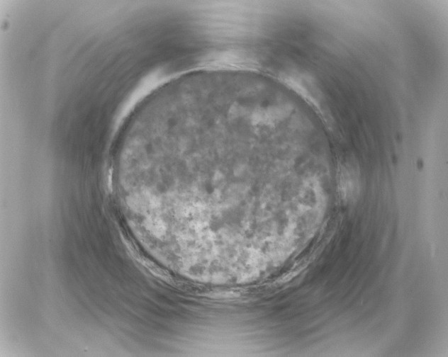 X0000085321462200704092336