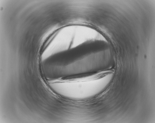 X0000085321463200704092336