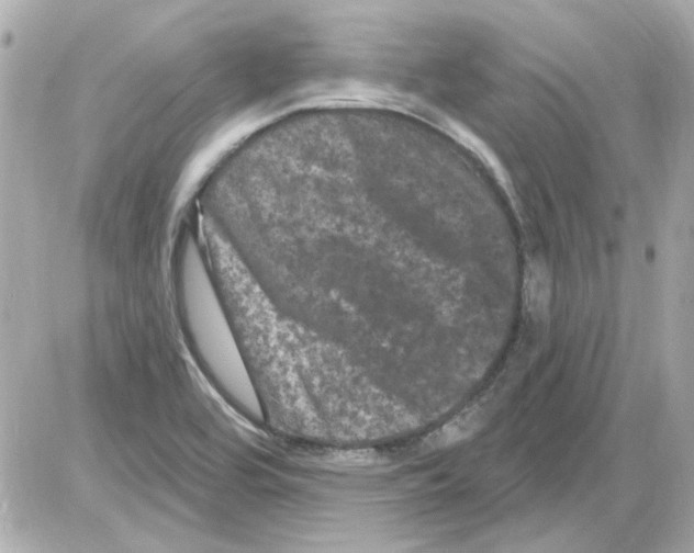 X0000085321464200704092336