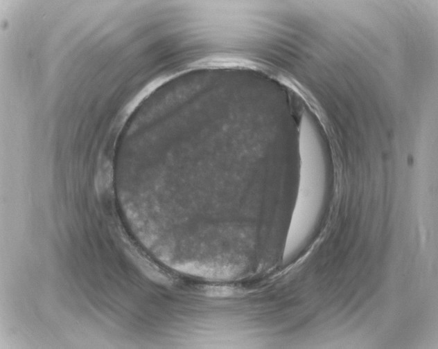 X0000085321465200704092336