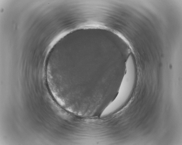 X0000085321469200704092336