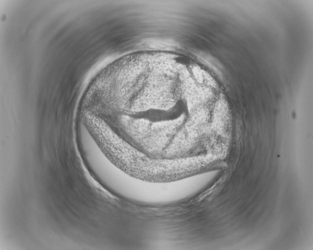 X0000085321471200704092336
