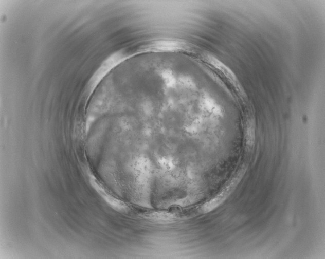 X0000085321473200704092336