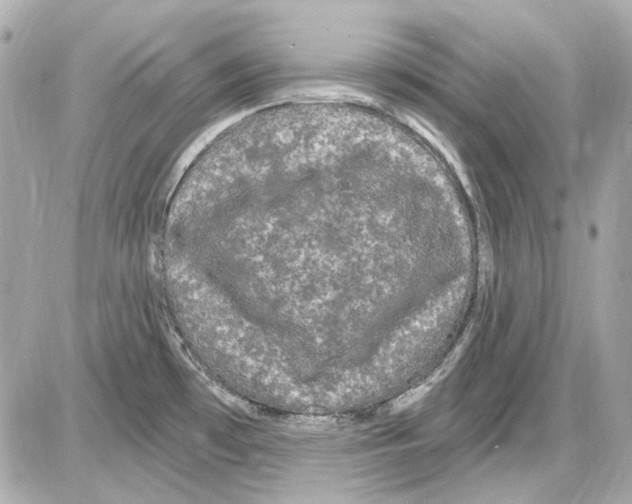 X0000085321481200704092336