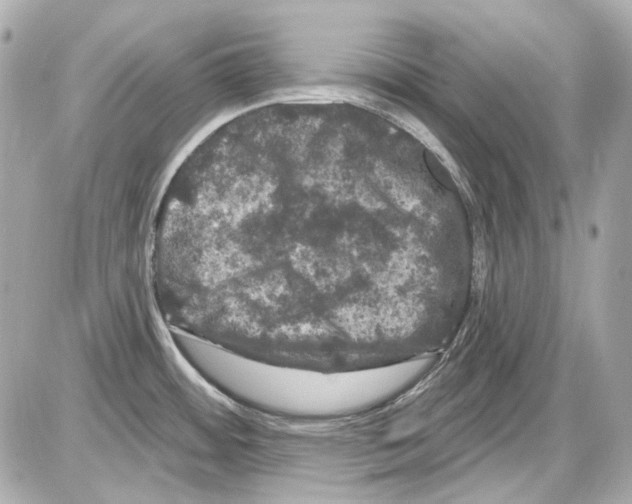 X0000085321484200704092336
