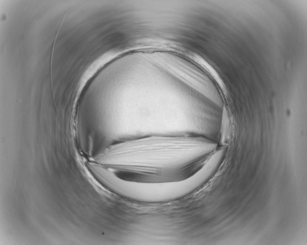 X0000085321485200704092336