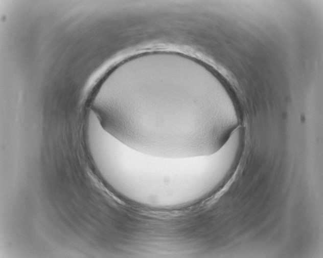 X0000085321502200704092335