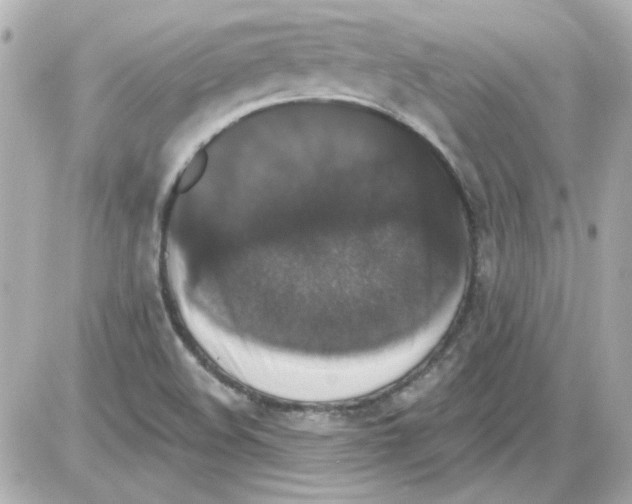 X0000085321508200704092335