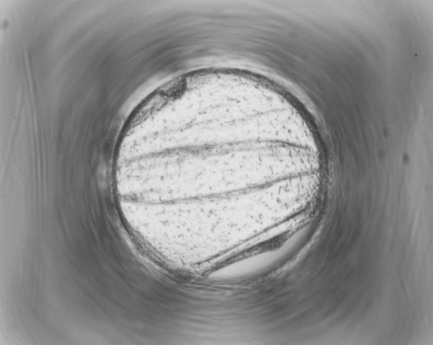 X0000085321513200704092335