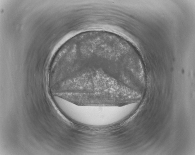 X0000085321517200704092335