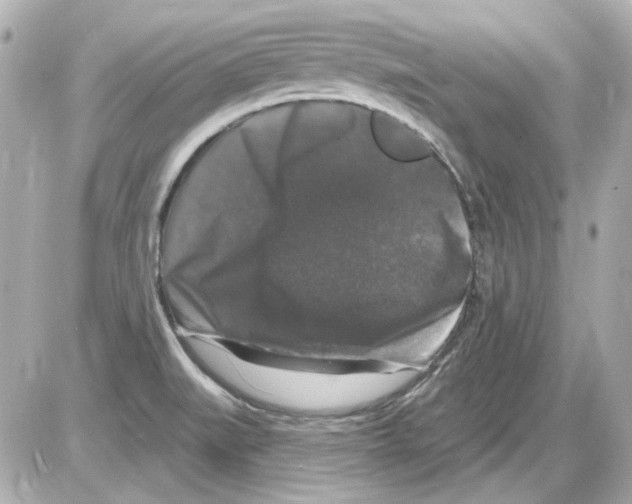 X0000085321519200704092335
