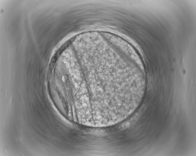 X0000085321525200704092336