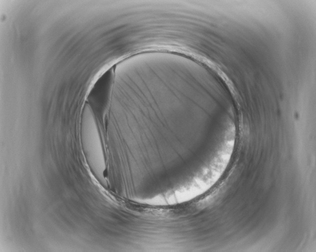 X0000085321529200704092336