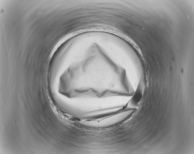 X0000085321530200704092336