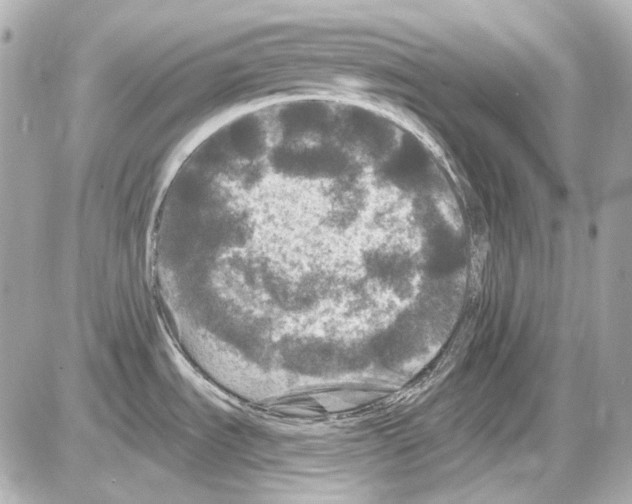 X0000085321535200704092336