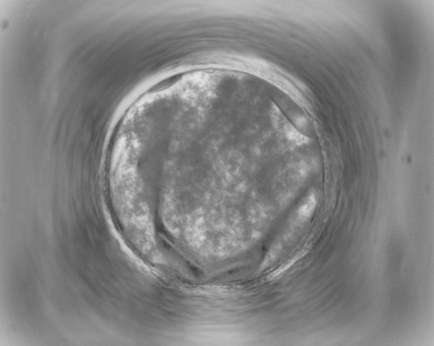 X0000085321536200704092336