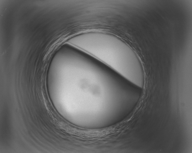 X0000085730001200703160849