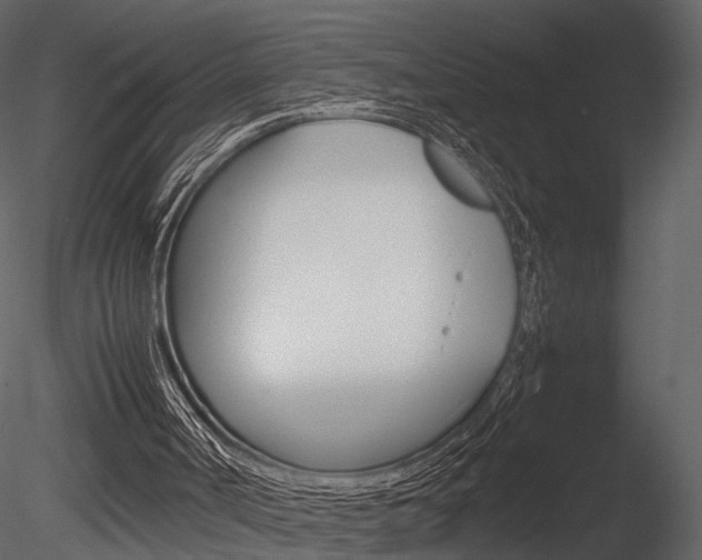 X0000085730002200703160849