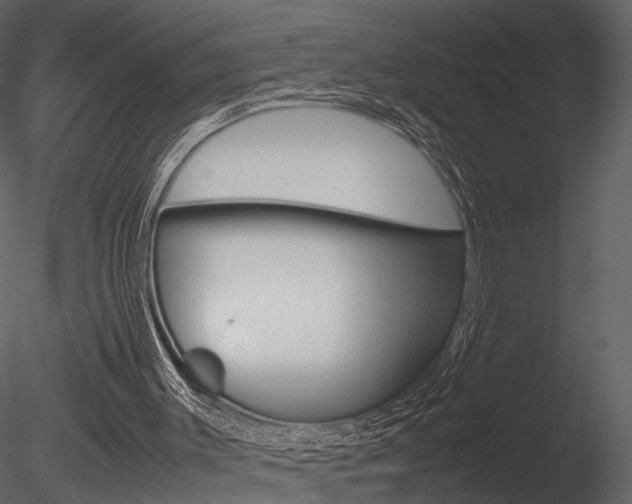 X0000085730003200703160849