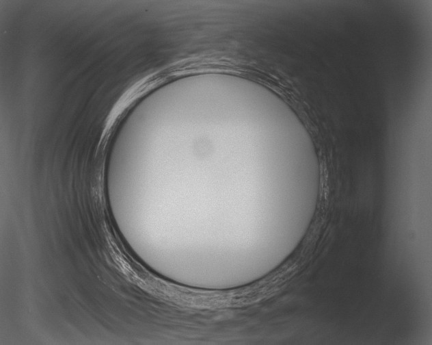 X0000085730004200703160849