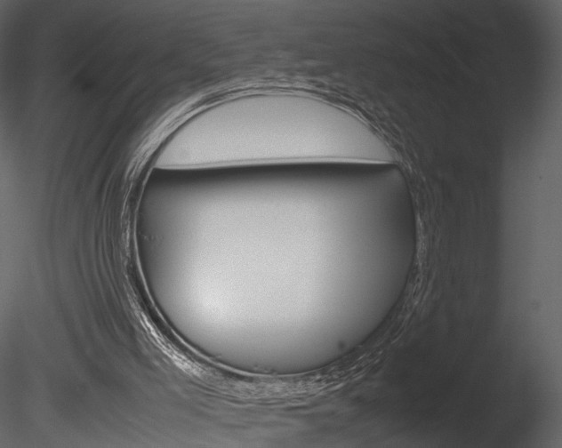 X0000085730005200703160849