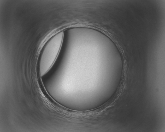 X0000085730007200703160849