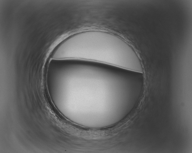 X0000085730008200703160849